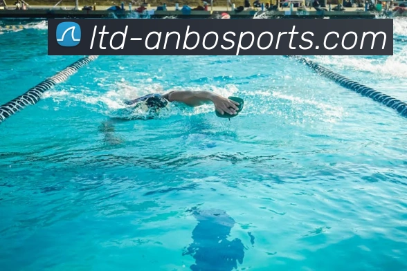 球赛投注服务体系