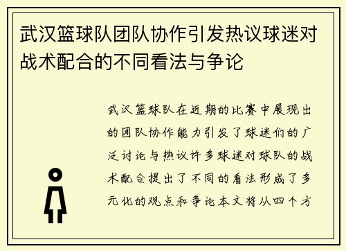 武汉篮球队团队协作引发热议球迷对战术配合的不同看法与争论