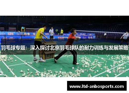 羽毛球专题：深入探讨北京羽毛球队的耐力训练与发展策略